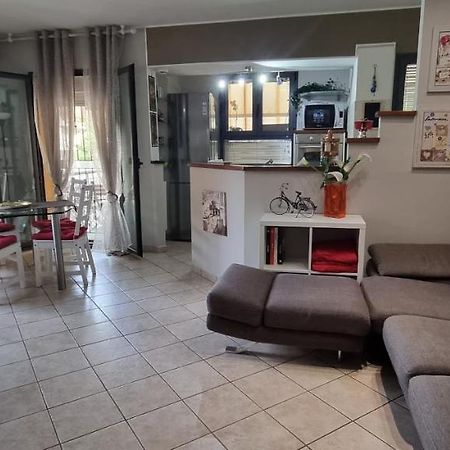 Chic & Relax Apartment ريميني المظهر الخارجي الصورة